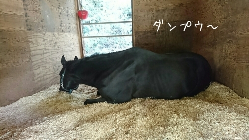b0187620_15575472.jpg