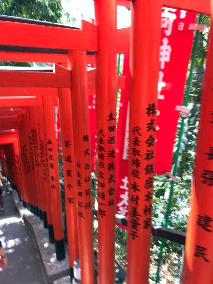 お花見ラン_a0231828_16375320.jpg