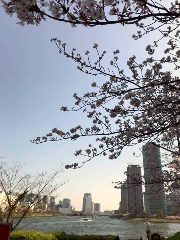 お花見ラン_a0231828_16380377.jpg
