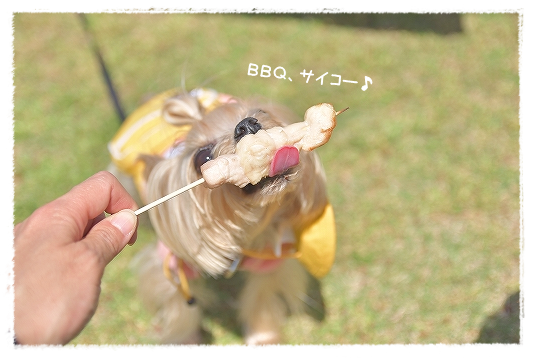d0179828_08332968.png