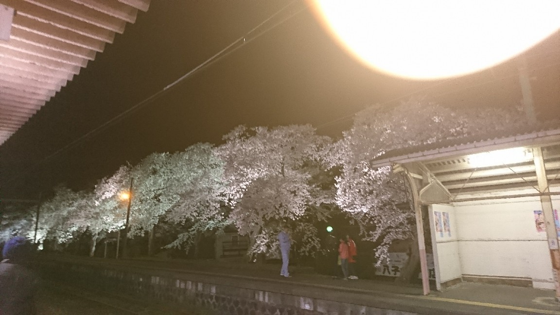 分水駅の夜桜_b0237229_07390652.jpg