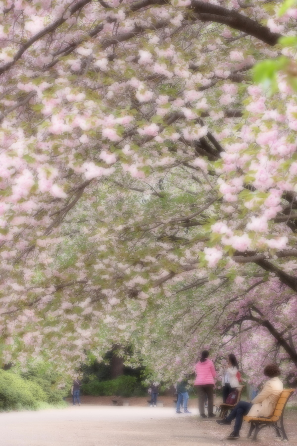 f0358531_21550232.jpg