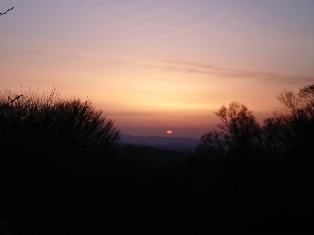 f0118332_18464158.jpg