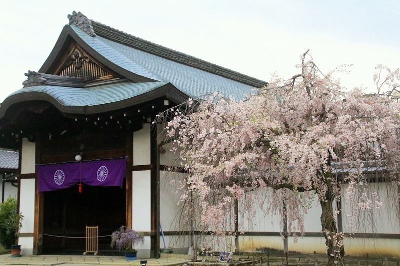 京都・勧修寺_f0327034_22045834.jpg