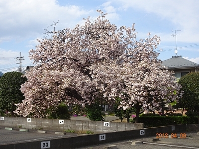 c0147935_21550441.jpg