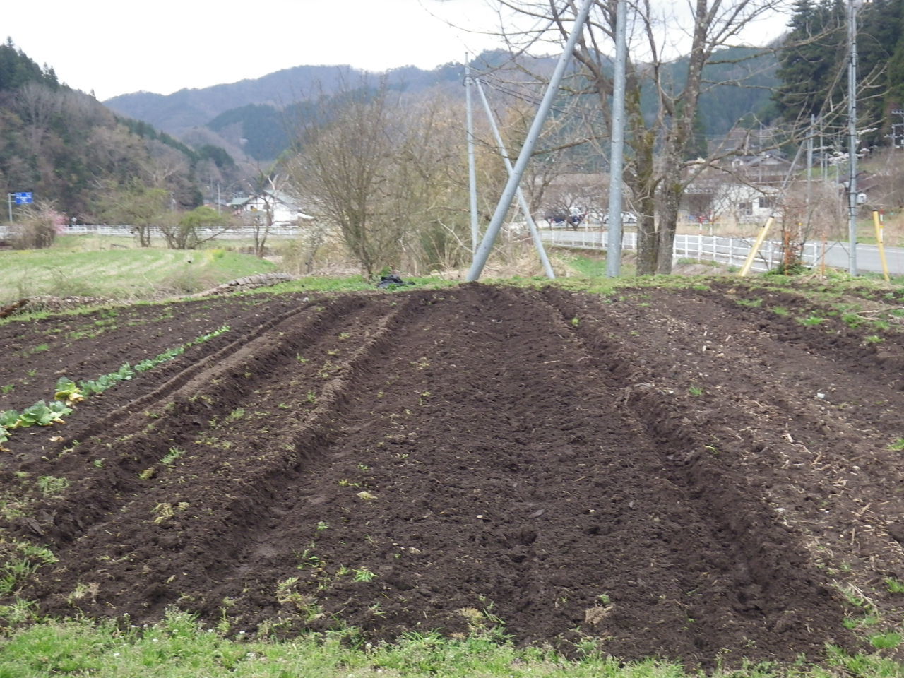 ３０年度ジャガイモの植え付け、やっと出来ました。_c0300035_16322268.jpg