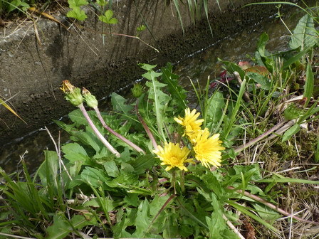 a0123836_17112487.jpg