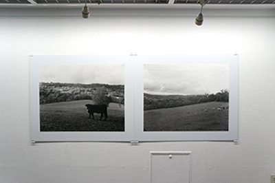 「ある牛の旅　Hiro TOBE写真展」開催中です！_f0171840_15003949.jpg