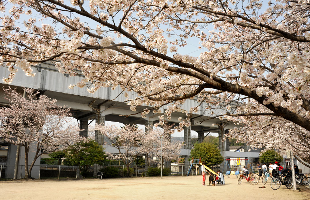 b0075541_13474787.jpg