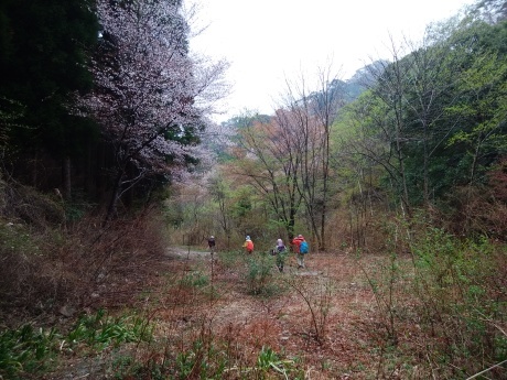 六甲山のマイナールートを歩く 『鬼ケ島』_c0218841_18535358.jpg