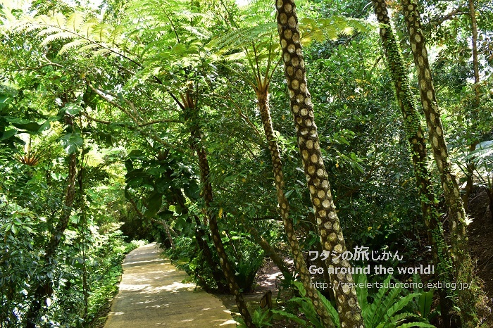 d0362541_20005595.jpg