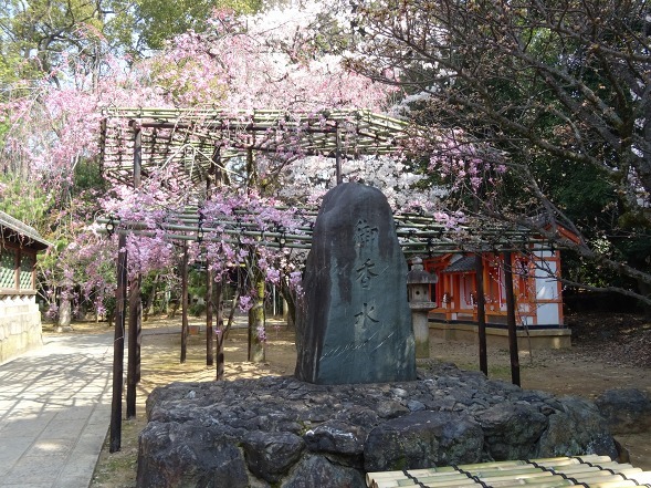 b0299042_08311064.jpg