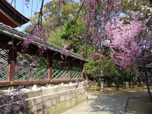 b0299042_08315271.jpg