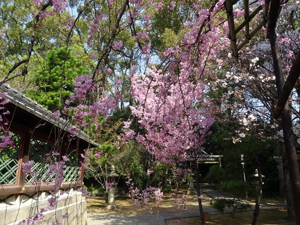 b0299042_08315869.jpg