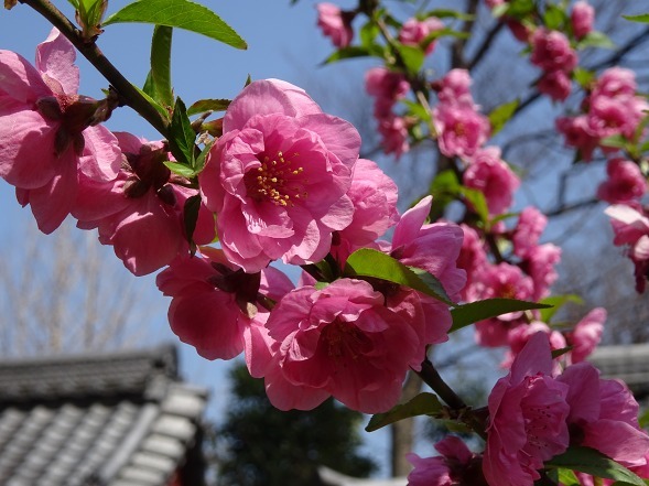 b0299042_08322491.jpg