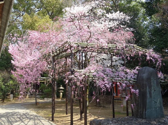 b0299042_08323573.jpg