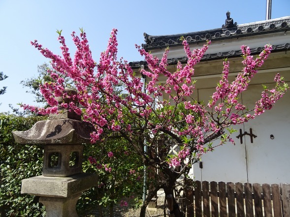 b0299042_08324908.jpg