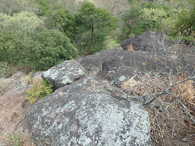 東大岩岳　　尾根　　丸山湿原　川下川ダム_f0334143_12151634.jpg