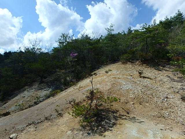 東大岩岳　　尾根　　丸山湿原　川下川ダム_f0334143_12205710.jpg