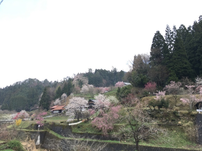 f0191444_13421939.jpg