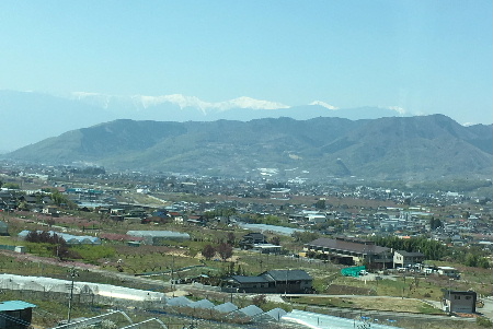e0172950_20291.jpg
