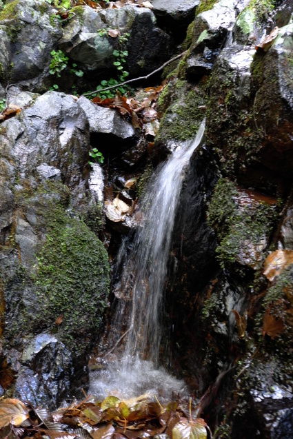 とりあえず登山の旅　3「荒船山」_a0288155_20135858.jpg