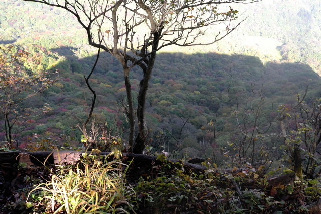 とりあえず登山の旅　3「荒船山」_a0288155_20165620.jpg