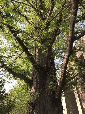 e0090555_00321447.jpg