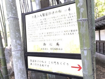 e0090555_01154154.jpg