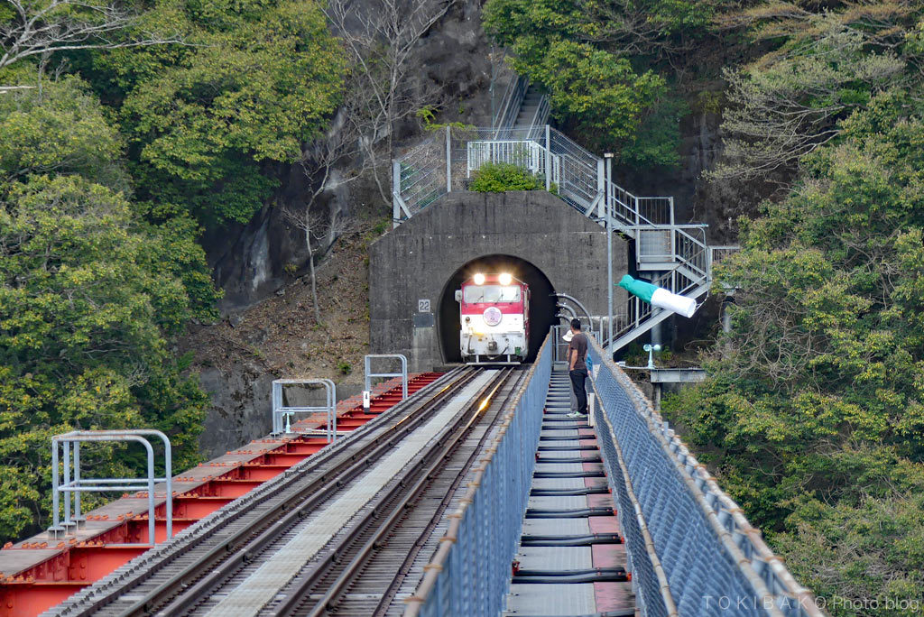 大井川鉄道 #3/3 南アルプスあぷとライン奥大井湖上駅から帰る。_d0100156_10425068.jpg