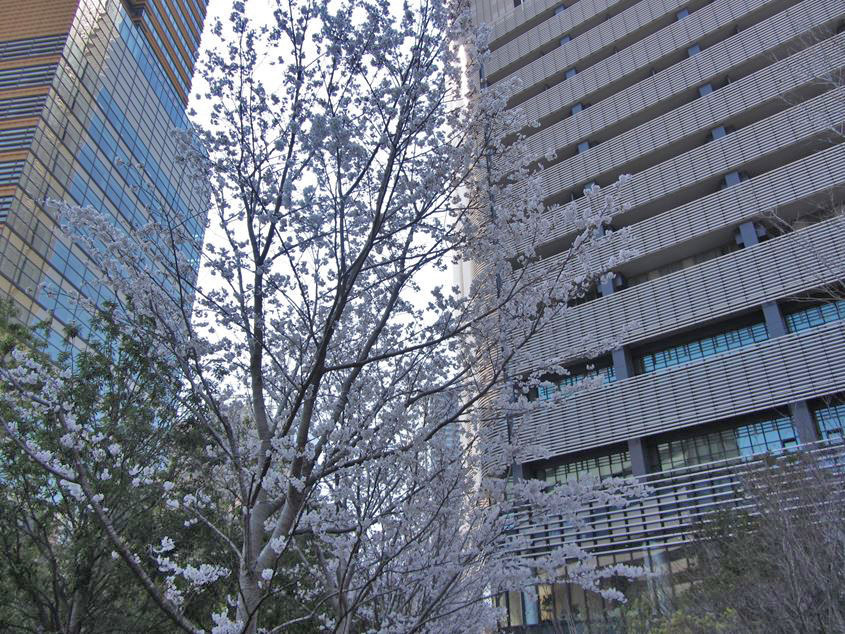 e0129656_22572454.jpg