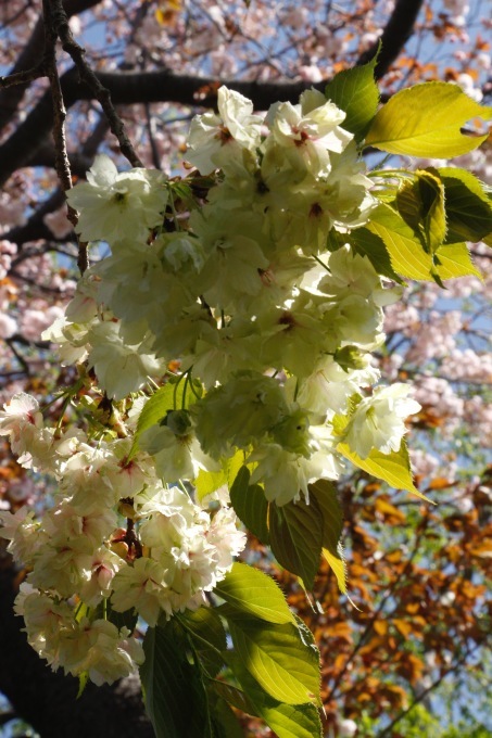 a0248459_20033115.jpg