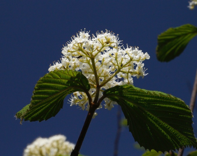a0248459_20093453.jpg