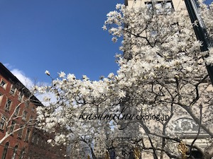 f0063659_10062482.png