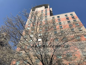 f0063659_10062903.png