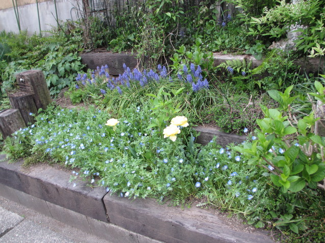 a0243064_07010964.jpg