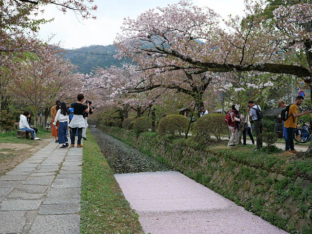f0199866_07492910.jpg