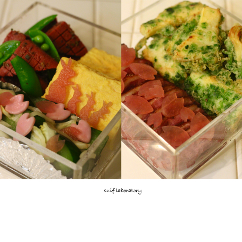 お花見本番!_c0156468_22275428.jpg