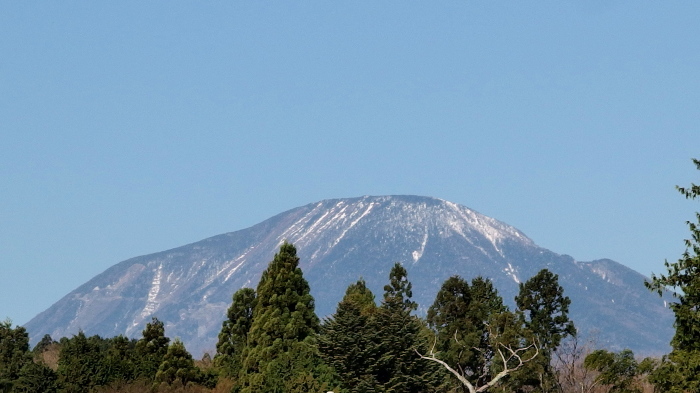 f0371079_10003400.jpg