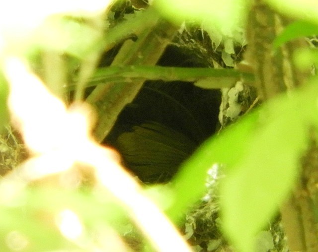 f0378979_06013437.jpg