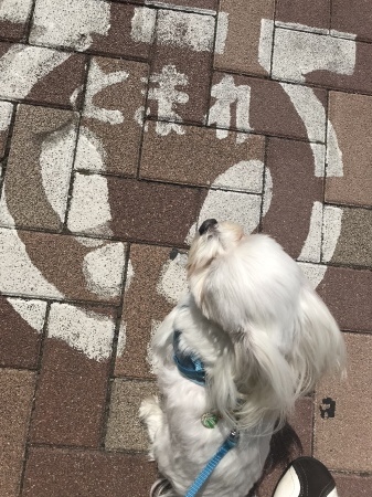 b0193480_13521096.jpeg