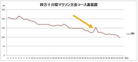 【ゴール】四万十川桜マラソンレポ⑤_f0310282_20093898.jpeg