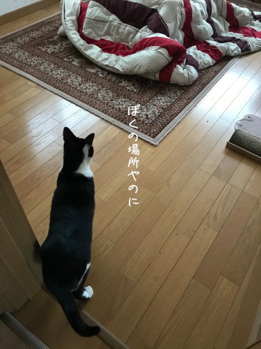a0216583_23353841.png