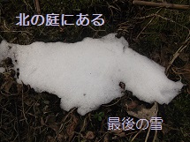 d0017084_9222558.jpg