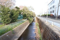 d0183387_16080096.jpg