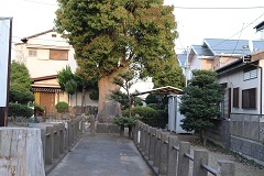 d0183387_22471864.jpg
