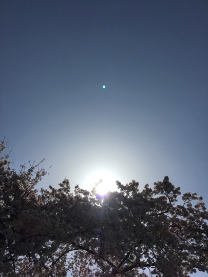 c0334092_21112323.jpeg