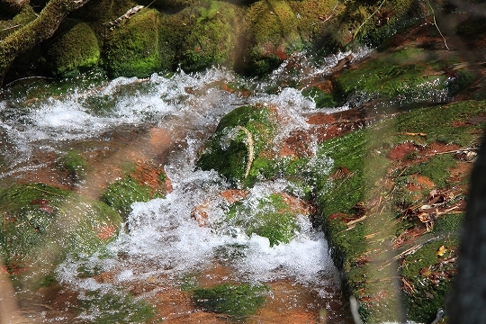 a0222494_21513303.jpg
