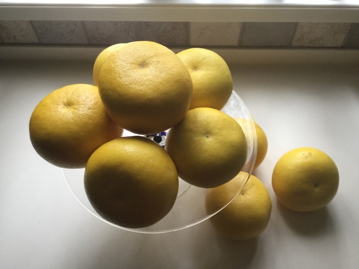 f0268294_22073336.jpeg