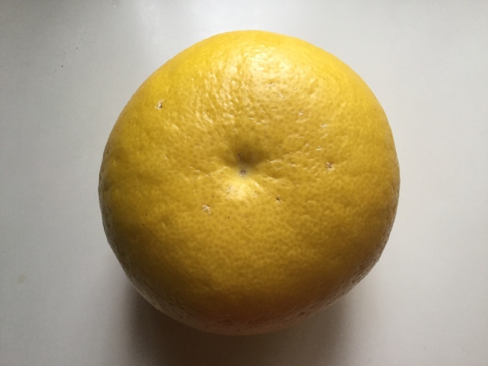 f0268294_22074896.jpeg